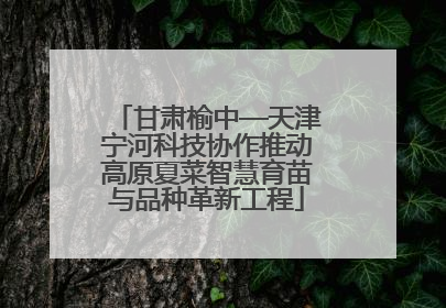甘肃榆中—天津宁河科技协作推动高原夏菜智慧育苗与品种革新工程