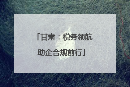 甘肃：税务领航 助企合规前行