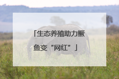生态养殖助力鳜鱼变“网红”