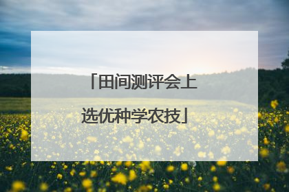 田间测评会上选优种学农技