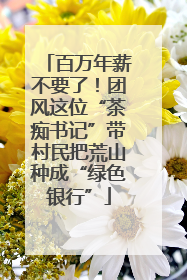 百万年薪不要了！团风这位“茶痴书记”带村民把荒山种成“绿色银行”