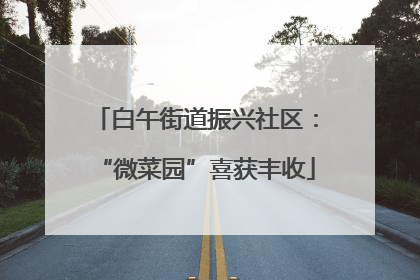 白午街道振兴社区：“微菜园”喜获丰收