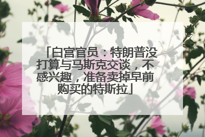 白宫官员：特朗普没打算与马斯克交谈，不感兴趣，准备卖掉早前购买的特斯拉