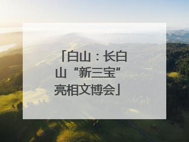 白山：长白山“新三宝”亮相文博会