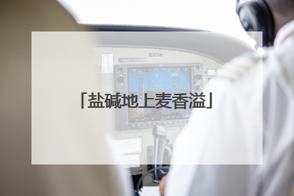 盐碱地上麦香溢