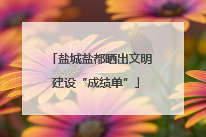 盐城盐都晒出文明建设“成绩单”