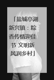 盐城亭湖新兴镇：粽香传情迎佳节 文明新风润乡村