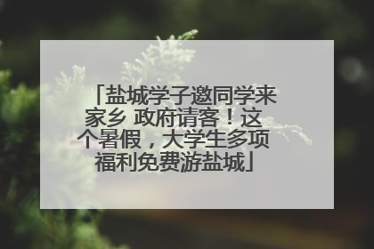 盐城学子邀同学来家乡 政府请客！这个暑假，大学生多项福利免费游盐城