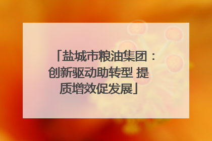 盐城市粮油集团：创新驱动助转型 提质增效促发展