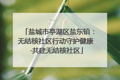 盐城市亭湖区盐东镇：无结核社区行动守护健康 ·共建无结核社区