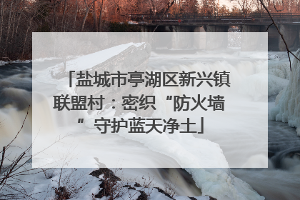 盐城市亭湖区新兴镇联盟村：密织“防火墙”守护蓝天净土