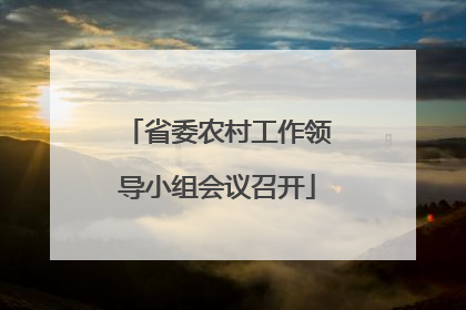 省委农村工作领导小组会议召开