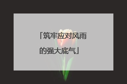 筑牢应对风雨的强大底气