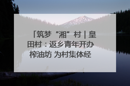 筑梦“湘”村｜皇田村：返乡青年开办榨油坊 为村集体经济“加油”