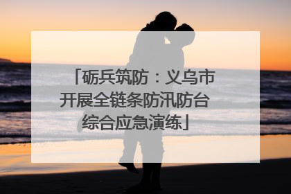 砺兵筑防：义乌市开展全链条防汛防台综合应急演练