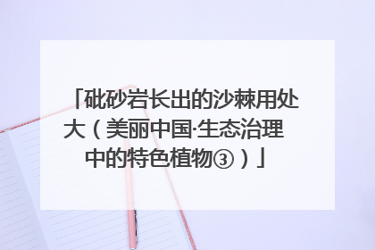 砒砂岩长出的沙棘用处大（美丽中国·生态治理中的特色植物③）