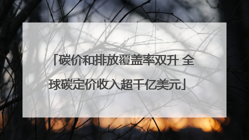 碳价和排放覆盖率双升 全球碳定价收入超千亿美元