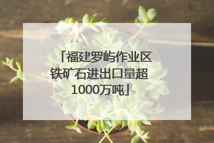 福建罗屿作业区铁矿石进出口量超1000万吨