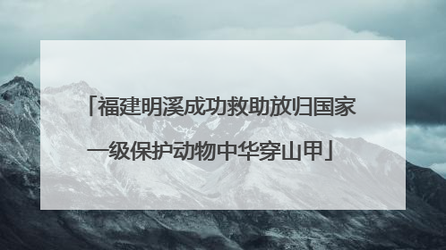 福建明溪成功救助放归国家一级保护动物中华穿山甲