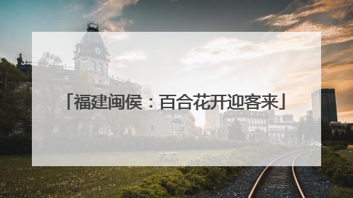 福建闽侯：百合花开迎客来