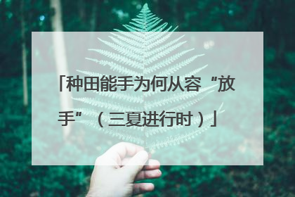 种田能手为何从容“放手”（三夏进行时）