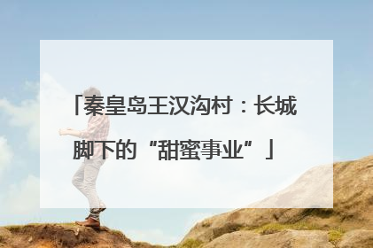 秦皇岛王汉沟村：长城脚下的“甜蜜事业”