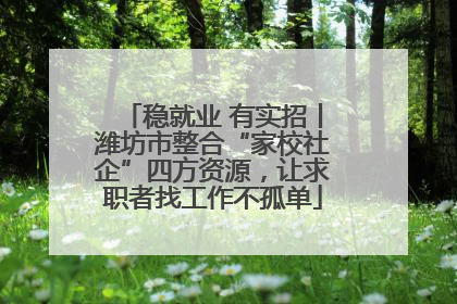 稳就业 有实招丨潍坊市整合“家校社企”四方资源，让求职者找工作不孤单