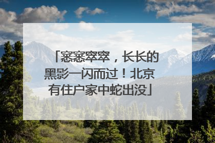 窸窸窣窣，长长的黑影一闪而过！北京有住户家中蛇出没