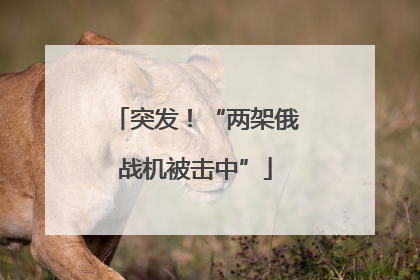 突发！“两架俄战机被击中”