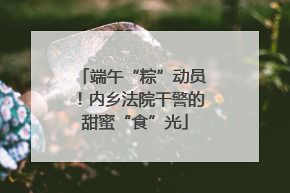 端午“粽”动员！内乡法院干警的甜蜜“食”光