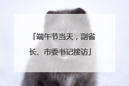 端午节当天，副省长、市委书记接访