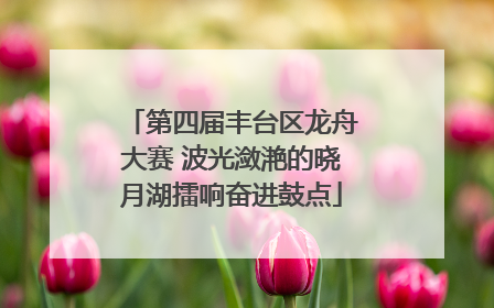第四届丰台区龙舟大赛 波光潋滟的晓月湖擂响奋进鼓点