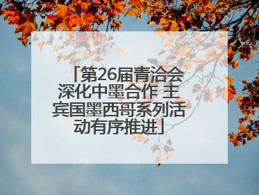 第26届青洽会深化中墨合作 主宾国墨西哥系列活动有序推进