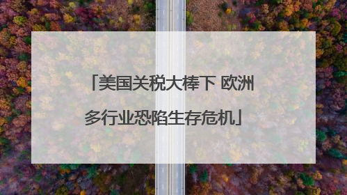 美国关税大棒下 欧洲多行业恐陷生存危机