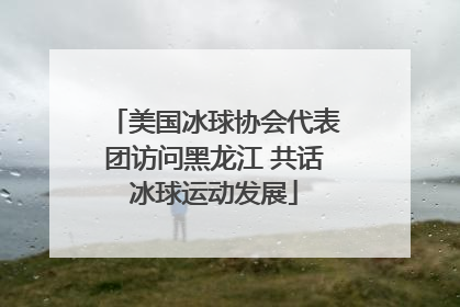 美国冰球协会代表团访问黑龙江 共话冰球运动发展