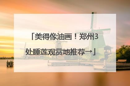 美得像油画！郑州3处睡莲观赏地推荐→
