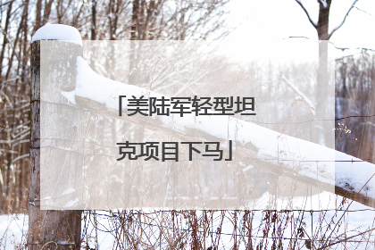 美陆军轻型坦克项目下马