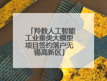 羚数人工智能工业垂类大模型项目签约落户无锡高新区