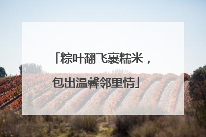 粽叶翻飞裹糯米，包出温馨邻里情