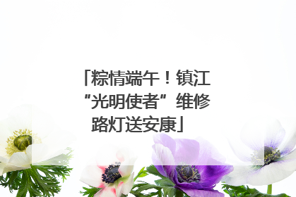 粽情端午！镇江“光明使者”维修路灯送安康