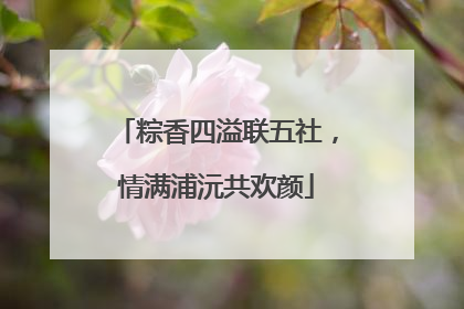 粽香四溢联五社，情满浦沅共欢颜