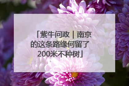 紫牛问政｜南京的这条路缘何留了200米不种树