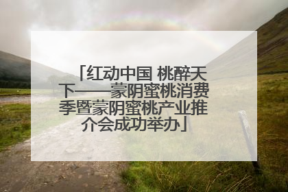 红动中国 桃醉天下——蒙阴蜜桃消费季暨蒙阴蜜桃产业推介会成功举办