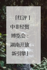 红评丨中非经贸博览会：湖南开放新引擎