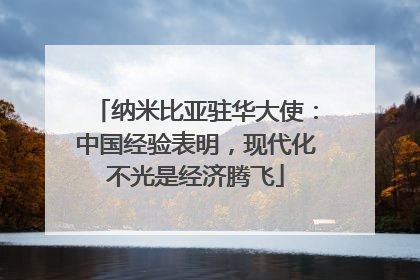 纳米比亚驻华大使：中国经验表明，现代化不光是经济腾飞