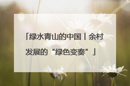 绿水青山的中国丨余村发展的“绿色变奏”