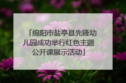 绵阳市盐亭县先锋幼儿园成功举行红色主题公开课展示活动