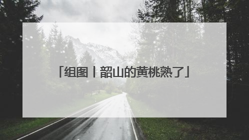 组图丨韶山的黄桃熟了