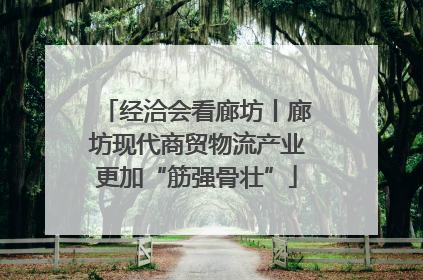 经洽会看廊坊丨廊坊现代商贸物流产业更加“筋强骨壮”