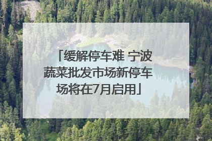 缓解停车难 宁波蔬菜批发市场新停车场将在7月启用